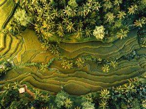 Top 10 điểm đến hấp dẫn du lịch Bali