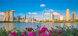 singapore-uk-expats