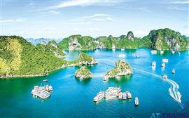 Tour Hà Nội - Hạ Long: du thuyền ACLASS STELLAR 4 sao