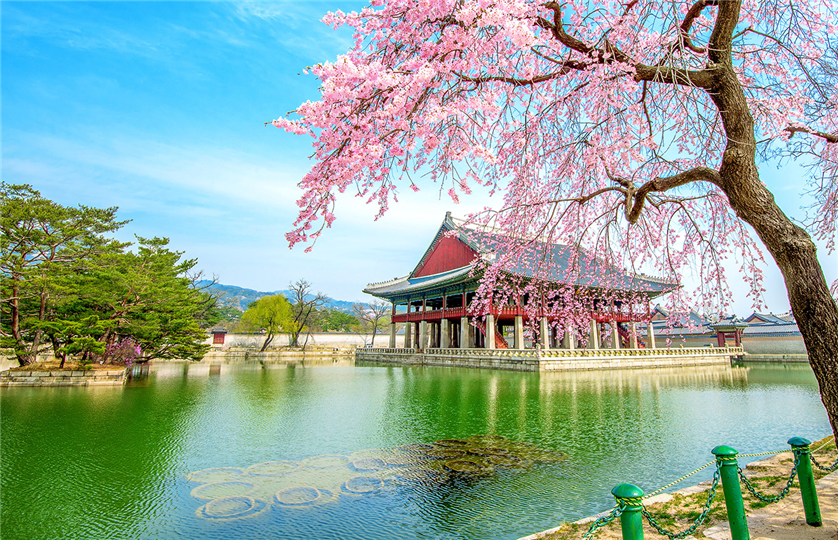 DU LỊCH HÀN QUỐC: SEOUL - NAMI - SEOUL GRAND PARK 