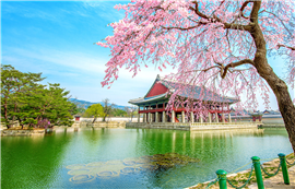 DU LỊCH HÀN QUỐC: SEOUL - NAMI - SEOUL GRAND PARK 